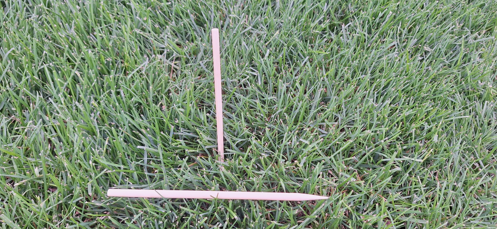 Holz-Erdnägel für Rasenverlegung