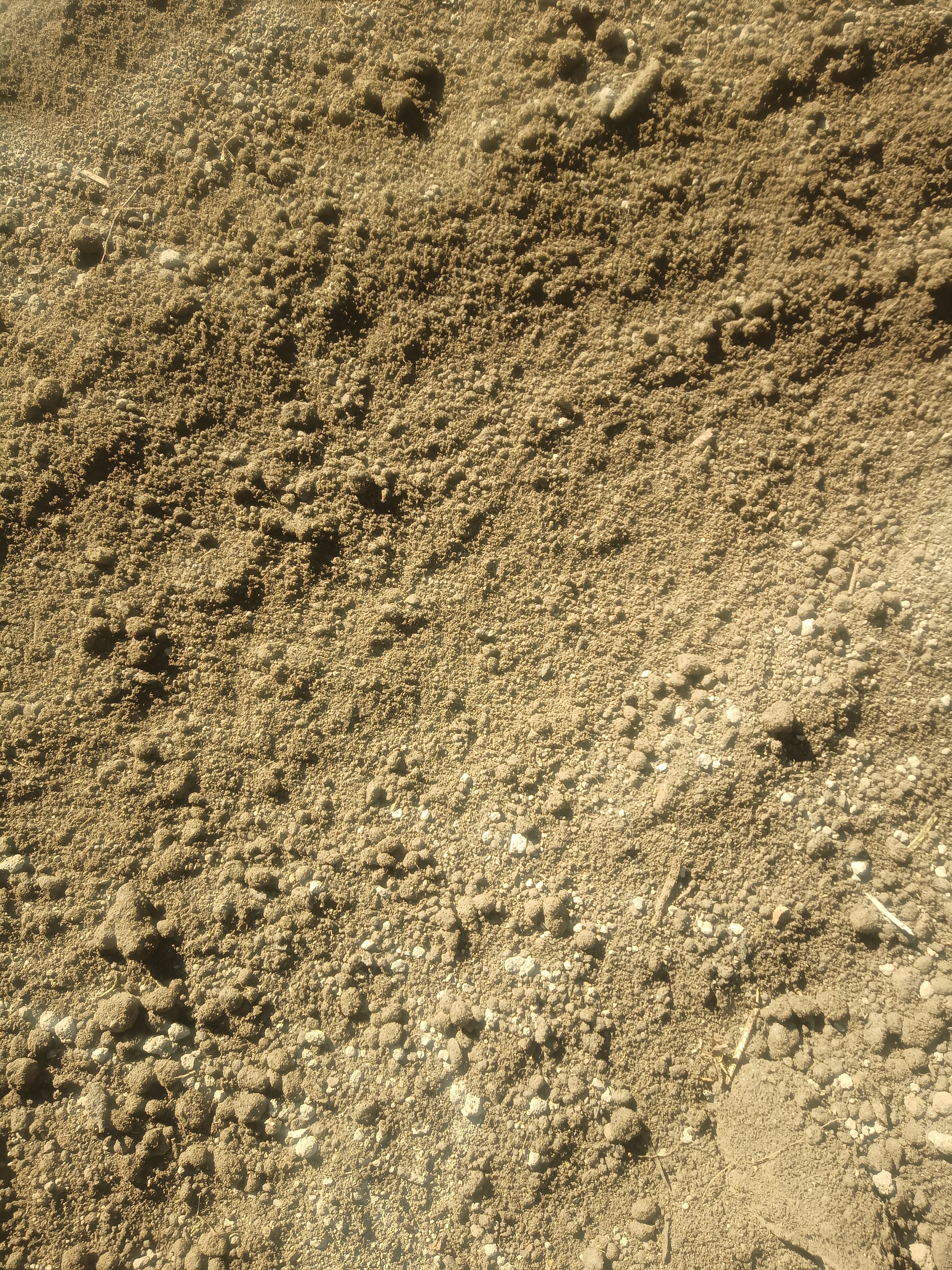 Humus